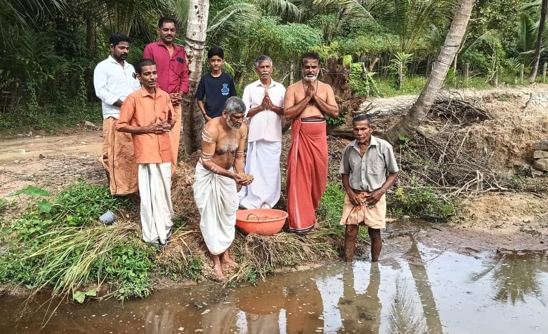 നെൽകൃഷിക്ക് വിത്ത് പാകി