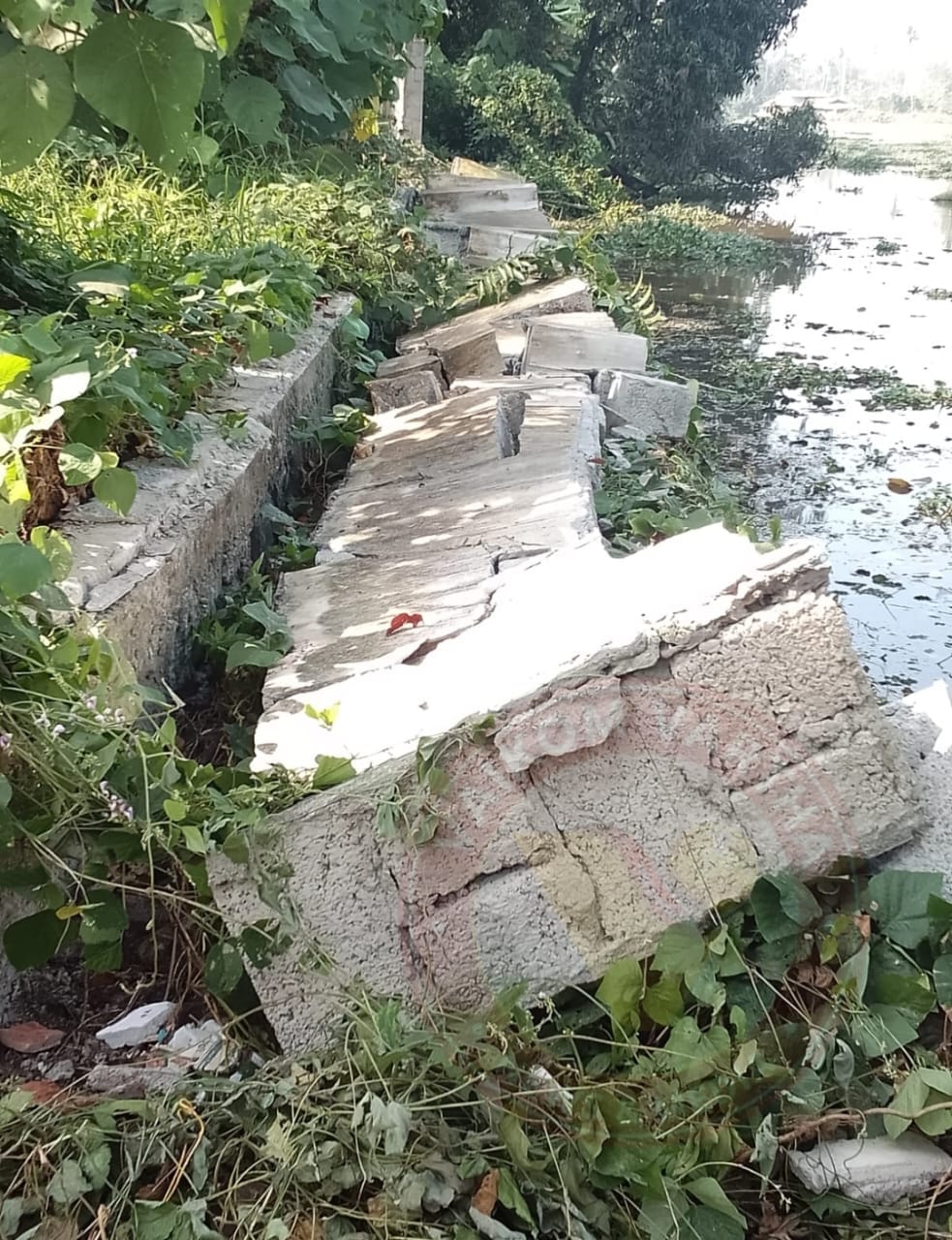 തോട്ടകം ഗവൺമെൻ്റ് എൽ.പി സ്കൂളിലെ മതിൽ ഇടിഞ്ഞ് വീണു