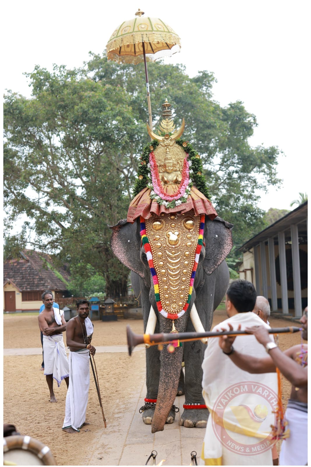വീഡിയോകൾ