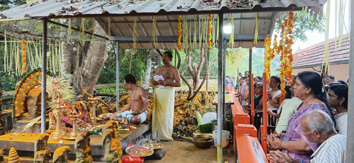 മിടായിക്കുന്നം പുണ്ഡരികപുരം ക്ഷേത്രത്തിലെ ആയില്ല്യ മഹോൽസവം ഭക്തി സാന്ദ്രമായി