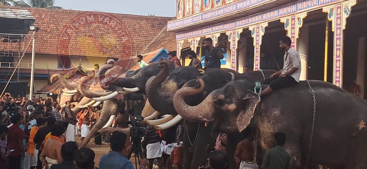 വൈക്കം മഹാദേവക്ഷേത്രത്തിൽ ആനയൂട്ട് നടന്നു