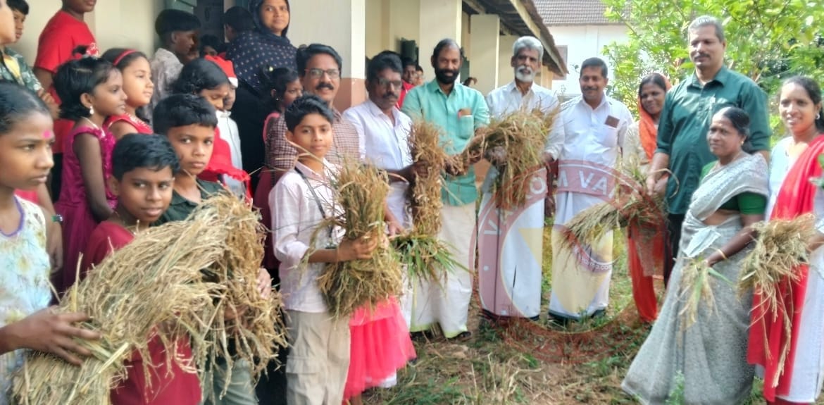 വിദ്യാർത്ഥികൾ വിളയിച്ച കരനെൽ കൃഷി കൊയ്തെടുത്തു