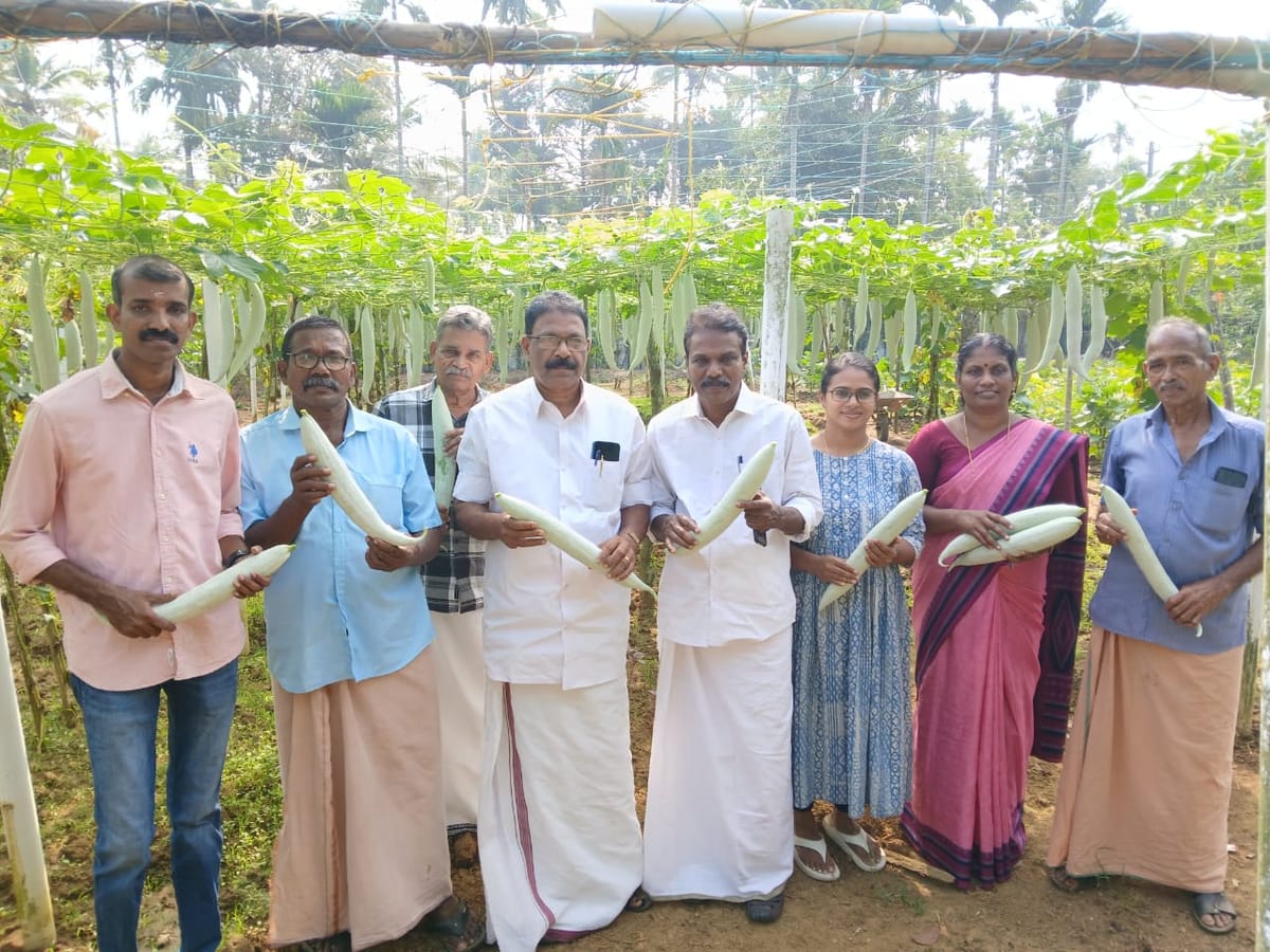 കൃഷിയിൽ നൂറുമേനി നേടി സുന്ദരൻ നളന്ദ