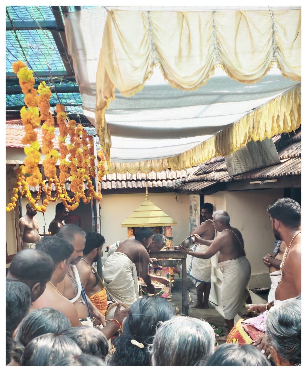 ഉത്സവബലി ഭക്തി സാന്ദ്രം