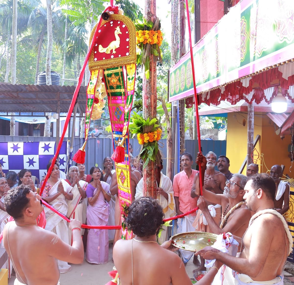 വെള്ളക്കാട്ട് സുബ്രഹ്മണ്യക്ഷേത്രത്തില്‍ ഉത്സവം കൊടിയേറി