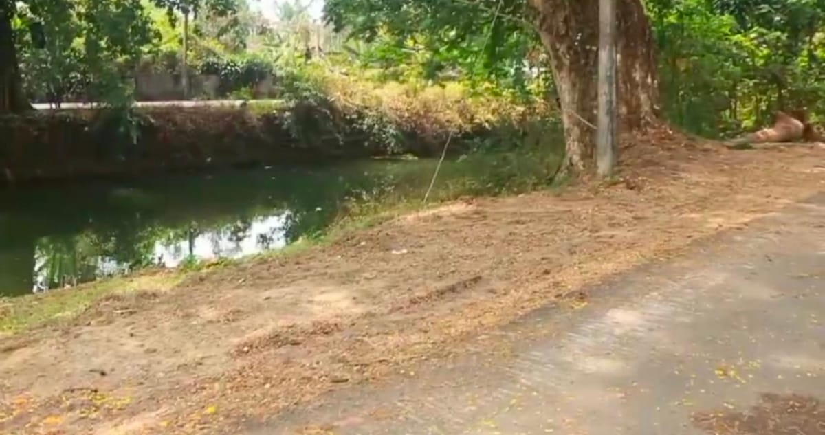 പാർക്ക് ആൻഡ് ഗ്രീൻ പ്ലേസ്പദ്ധതി അട്ടിമറിക്കാൻ നഗരസഭ നീക്കം നടത്തുന്നതായി പരാതി