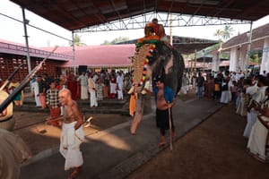 ആദ്യ ശ്രീബലി ഭക്തിസാന്ദ്രമായി