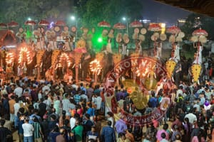 അഷ്ടമി: ക്ഷേത്രവും നഗരവും ഉത്സവ തിരക്കിൽ