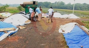 സ്വകാര്യമില്ലുകളുടെ ചൂഷണം : നെൽകർഷകർ ദുരിതത്തിൽ