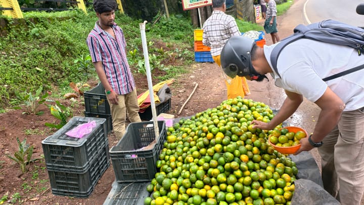 മഞ്ഞുകാലത്തിൻ്റെ വരവറിയിച്ച് നാടൻ ഓറഞ്ച് എത്തി
