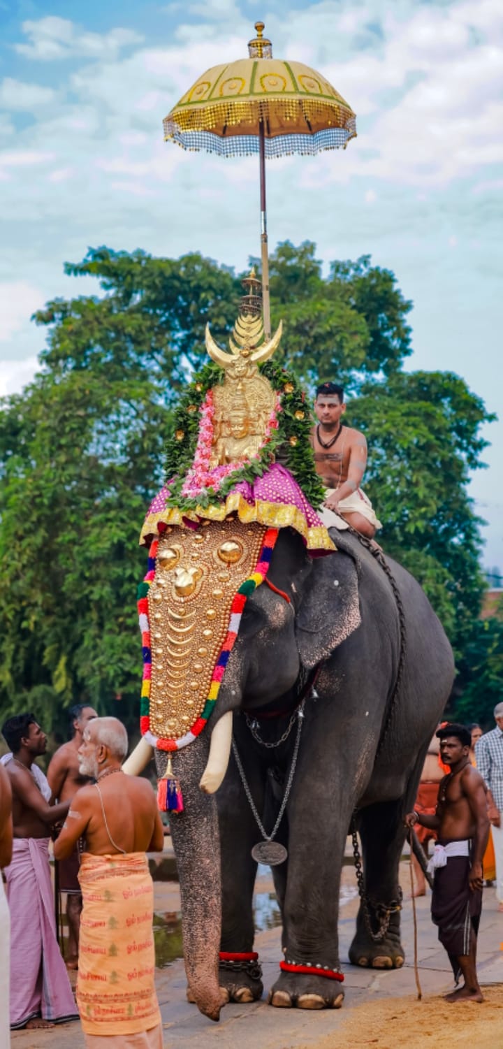 പുള്ളി സന്ധ്യവേല രണ്ടാം ദിവസം