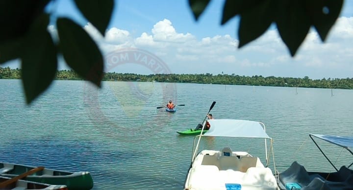 സഞ്ചാരികളെ ആകർഷിച്ച് പാലാക്കരി