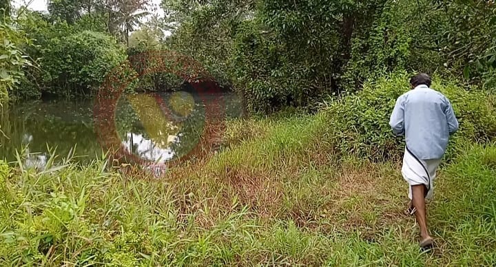 ജിയോളജി വകുപ്പിന്റെ അനാസ്ഥ: വൈക്കത്ത് കരമണൽ ഖനനം ചെയ്ത കുഴികൾ മൂടാൻ നടപടിയില്ല