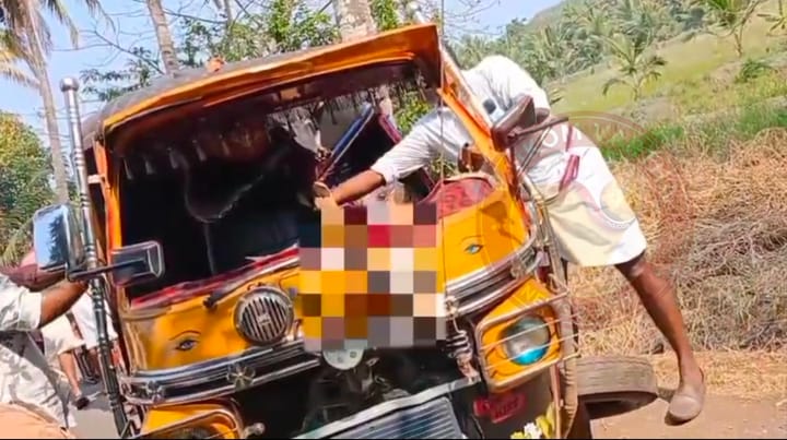 ഓട്ടോറിക്ഷ തെങ്ങിലിടിച്ച് മറിഞ്ഞ് യാത്രക്കാരൻ മരിച്ചു