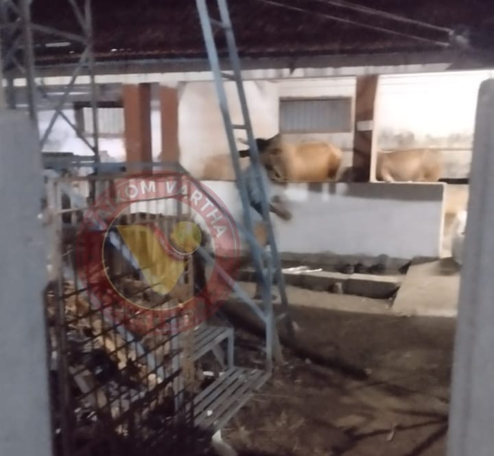 മഹാദേവക്ഷേത്രത്തിലെ ഗോശാലയുടെ അപര്യാപ്തതകൾ പരിഹരിക്കാൻ ഹൈക്കോടതി ഉത്തരവ്