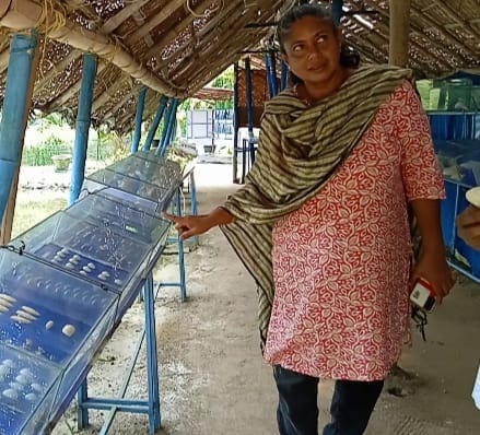 പ്രതിസന്ധികളെ തരണം ചെയ്ത് അനില